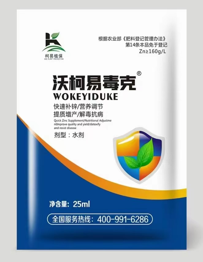 �ֿ��׶���