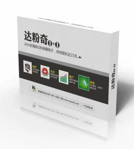 �ֿ��״����