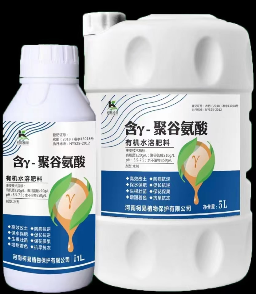 ����-�۹Ȱ���