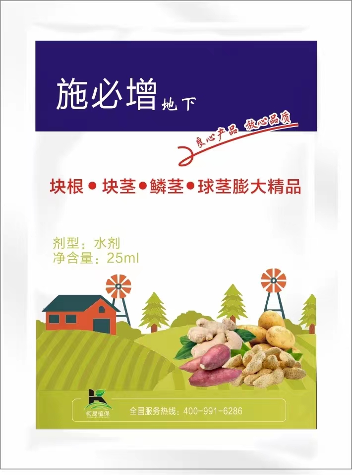 ʩ����-����