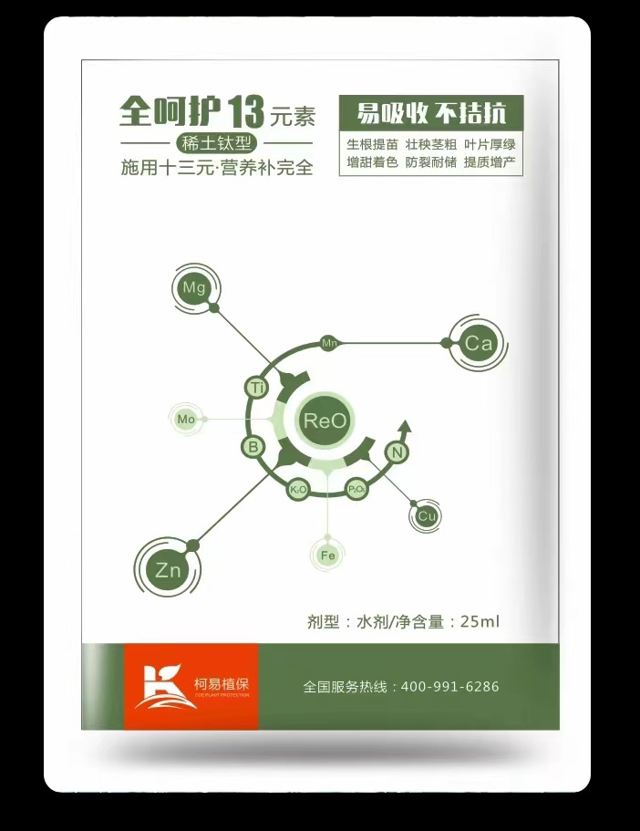 ȫ�ǻ�13Ԫ��