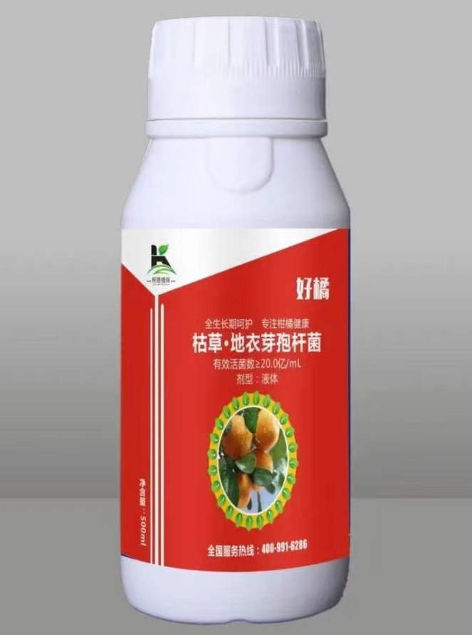 �ֿ��׺���