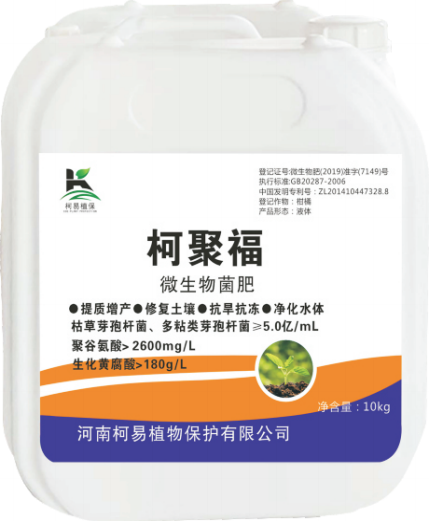 �¾۸�΢�������