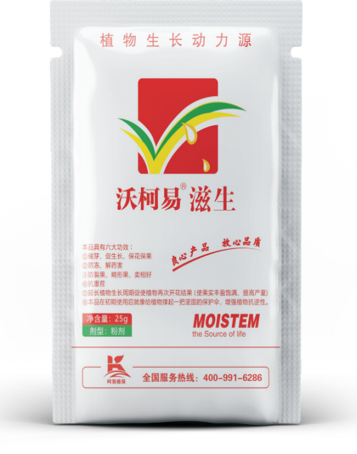 �ֿ��� ����