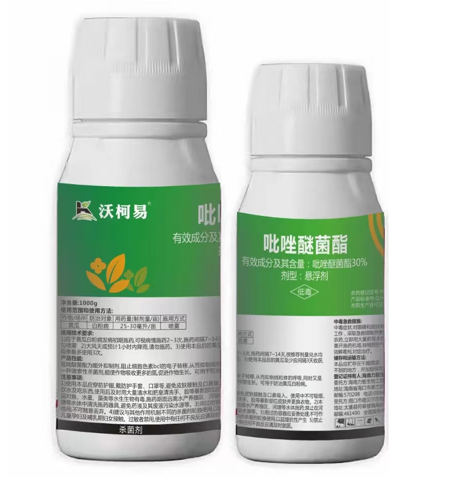 �ֿ��� �����Ѿ���